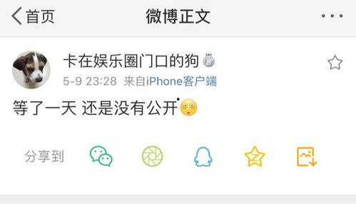 爆料吃瓜开头,独家爆料，吃瓜群众带你一探究竟