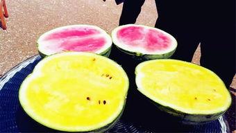 周口鹿邑吃瓜爆料,揭秘当地奇闻轶事