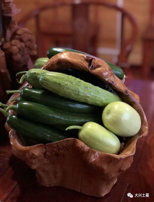 网红吃瓜的网页,揭秘网络热点背后的故事